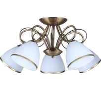 Потолочная люстра Omnilux OML-25307-05