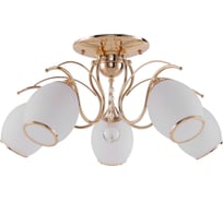 Потолочная люстра F-promo 2445-5U