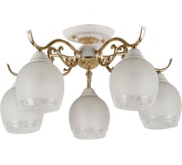 Потолочная люстра F-promo 2538-5U