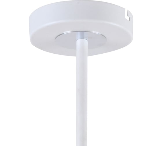 Потолочная люстра F-promo 2559-8P