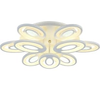 Потолочная светодиодная люстра F-promo 2293-9U