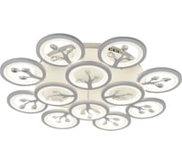 Потолочная светодиодная люстра F-promo 2390-12U