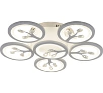 Потолочная светодиодная люстра F-promo 2390-6U