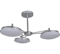 Потолочная светодиодная люстра F-promo 2471-3P