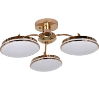 Потолочная светодиодная люстра F-promo 2473-3P