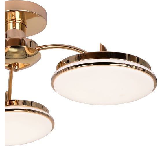 Потолочная светодиодная люстра F-promo 2473-3P