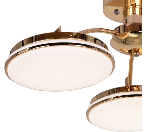 Потолочная светодиодная люстра F-promo 2473-3P