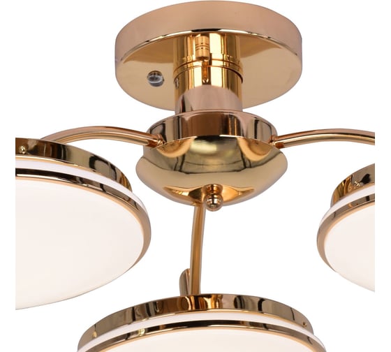 Потолочная светодиодная люстра F-promo 2473-3P