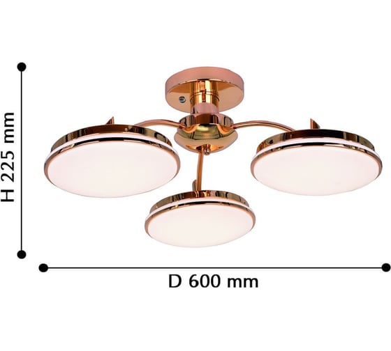 Потолочная светодиодная люстра F-promo 2473-3P