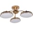 Потолочная светодиодная люстра F-promo 2473-3P 1