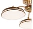 Потолочная светодиодная люстра F-promo 2473-3P 3