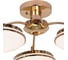 Потолочная светодиодная люстра F-promo 2473-3P 4