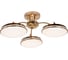 Потолочная светодиодная люстра F-promo 2473-3P 6