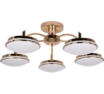 Потолочная светодиодная люстра F-promo 2473-5P