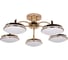 Потолочная светодиодная люстра F-promo 2473-5P 7