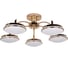 Потолочная светодиодная люстра F-promo 2473-5P 1