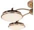 Потолочная светодиодная люстра F-promo 2473-5P 3