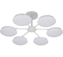 Потолочная светодиодная люстра F-promo 2475-6P