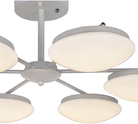 Потолочная светодиодная люстра F-promo 2475-6P