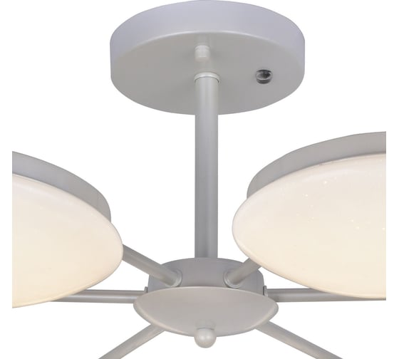 Потолочная светодиодная люстра F-promo 2475-6P