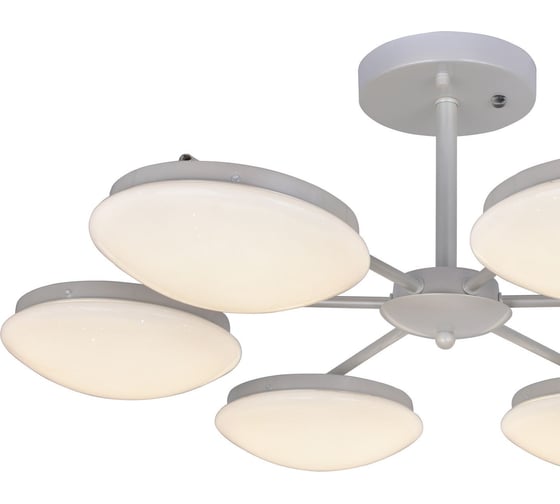 Потолочная светодиодная люстра F-promo 2475-6P