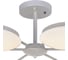 Потолочная светодиодная люстра F-promo 2475-6P 3