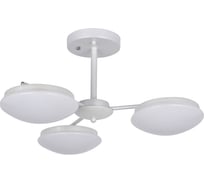 Потолочная светодиодная люстра F-promo 2475-3P
