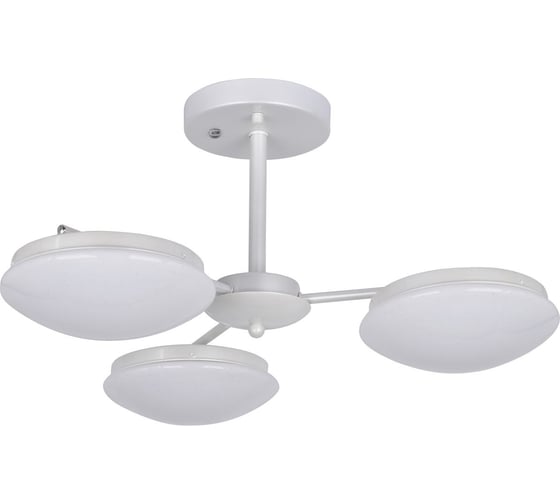 Потолочная светодиодная люстра F-promo 2475-3P 1