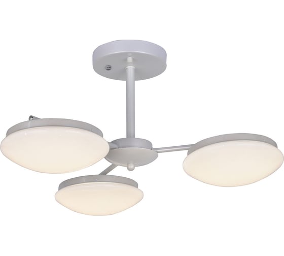 Потолочная светодиодная люстра F-promo 2475-3P