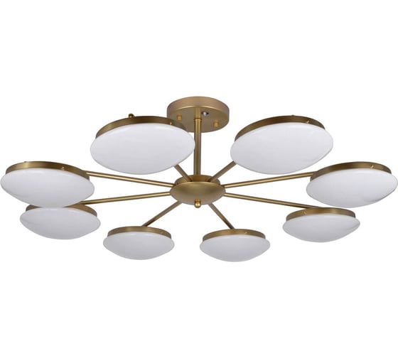 Потолочная светодиодная люстра F-promo 2476-8P 1