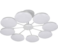 Потолочная светодиодная люстра F-promo 2475-8P