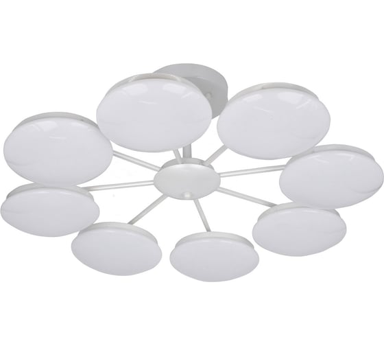 Потолочная светодиодная люстра F-promo 2475-8P 1