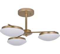 Потолочная светодиодная люстра F-promo 2476-3P