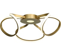 Потолочная светодиодная люстра F-promo 2561-4U