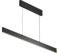 Подвесной светильник MAYTONI Ephoria черный P109PL-36W2.7-6K-B