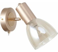 Спот F-promo 2660-1W