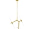 Подвесная люстра Lightstar 742063 1