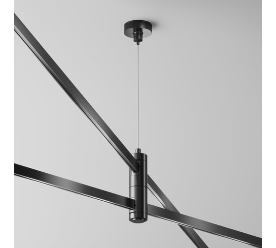 Подвес тросовый MAYTONI Hang двойной, черный FLARITY TRA157SW-D1-B