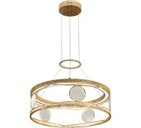 Подвесной светодиодный светильник Favourite 2354-5P