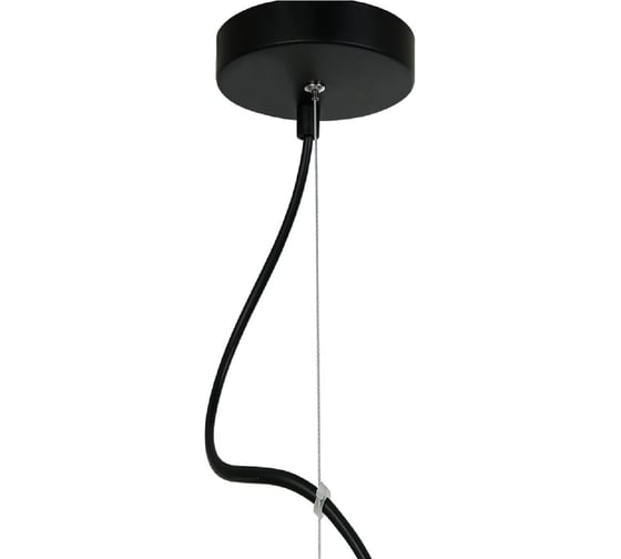 Подвесная люстра F-promo 2568-6P