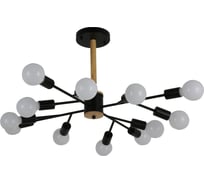 Подвесная люстра F-promo 2585-12P