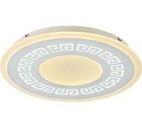 Потолочный светодиодный светильник F-promo 2273-5C