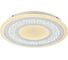 Потолочный светодиодный светильник F-promo 2273-5C 1
