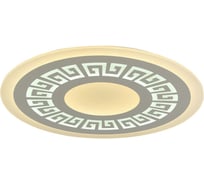 Потолочный светодиодный светильник F-promo 2273-8C