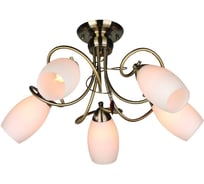 Потолочная люстра Omnilux OML-37227-05