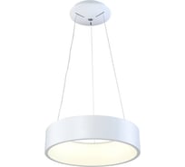 Подвесной светодиодный светильник Omnilux OML-45203-42