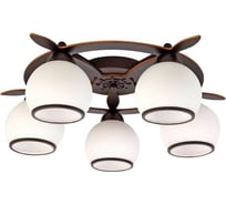 Потолочная люстра Omnilux OML-50507-05