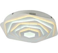 Потолочный светодиодный светильник F-promo 2289-5C