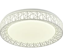 Потолочный светодиодный светильник F-promo 2314-5C
