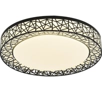 Потолочный светодиодный светильник F-promo 2315-5C